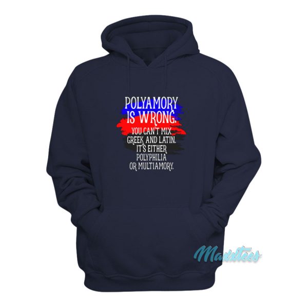 Polyamory Is Wrong You Can't Mix Greek Hoodie