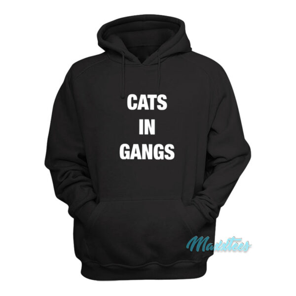 Cats Operating In Gangs Hoodie