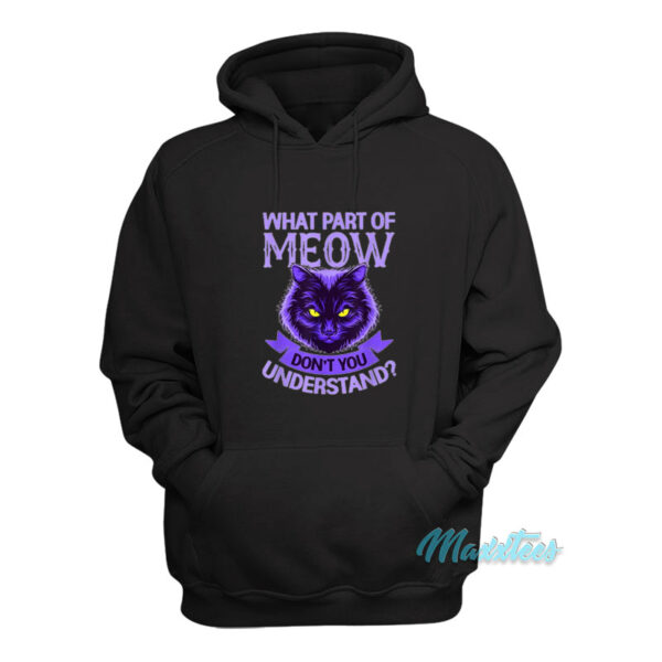 What Part Of Meow Don't You Understand Cat Hoodie