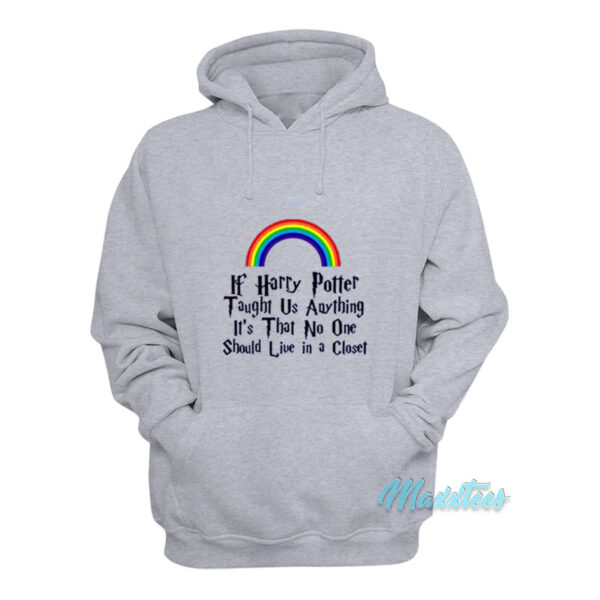 If Harry Potter Taught Us Anything Rainbow Hoodie