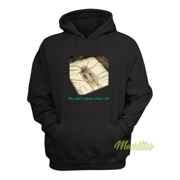 We Ain't Alone After All Hoodie